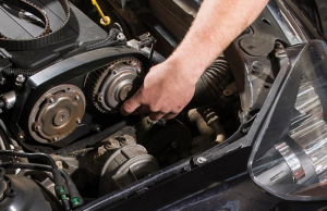 How to install the timing belt doloremque